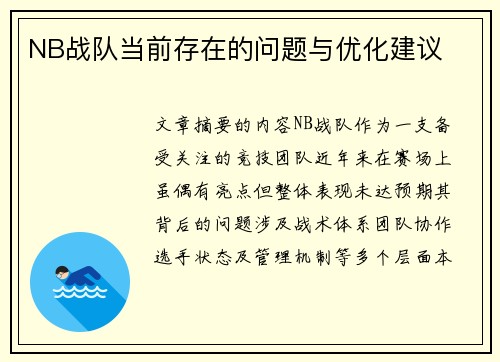 NB战队当前存在的问题与优化建议